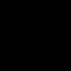 Meet your Posher, Dionna